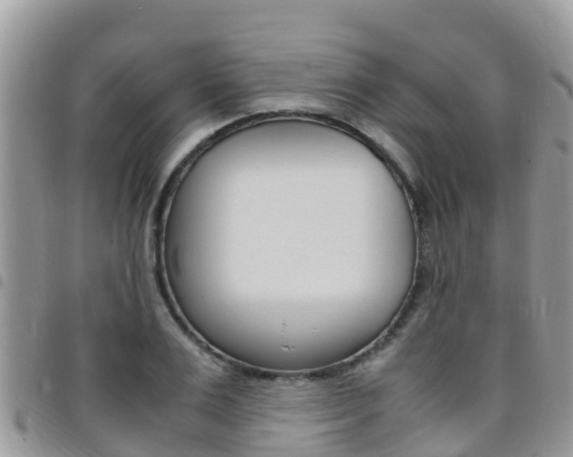 X0000096160983200801180847