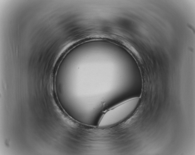 X0000096160984200801180847