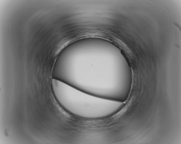 X0000096160985200801180847