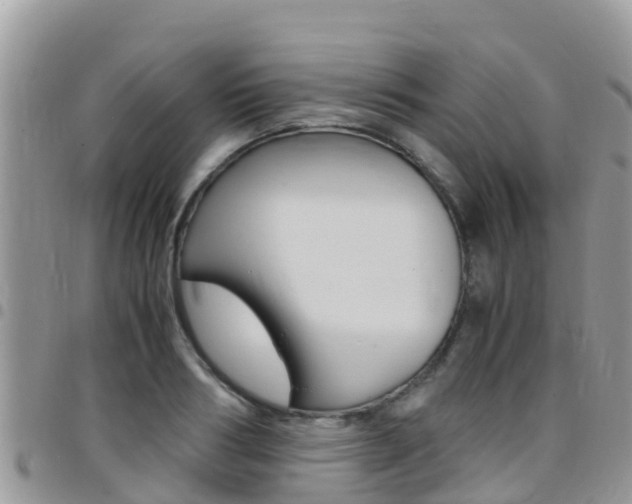 X0000096160986200801180847