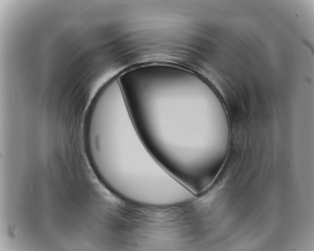 X0000096160987200801180847