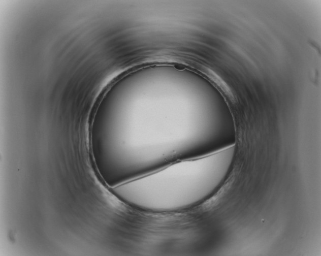 X0000096160988200801180847