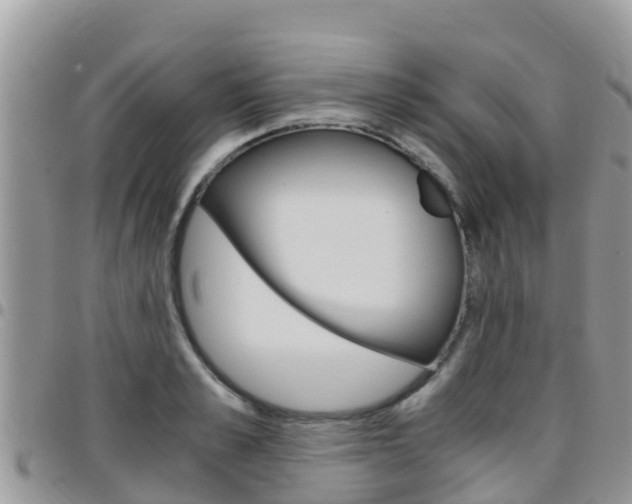 X0000096160989200801180847
