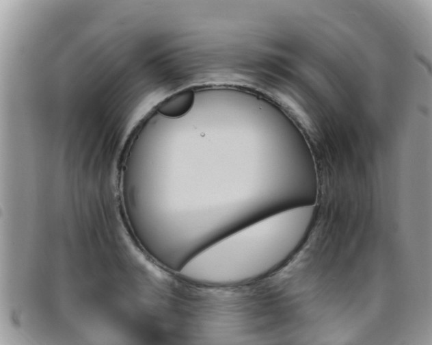 X0000096160990200801180847