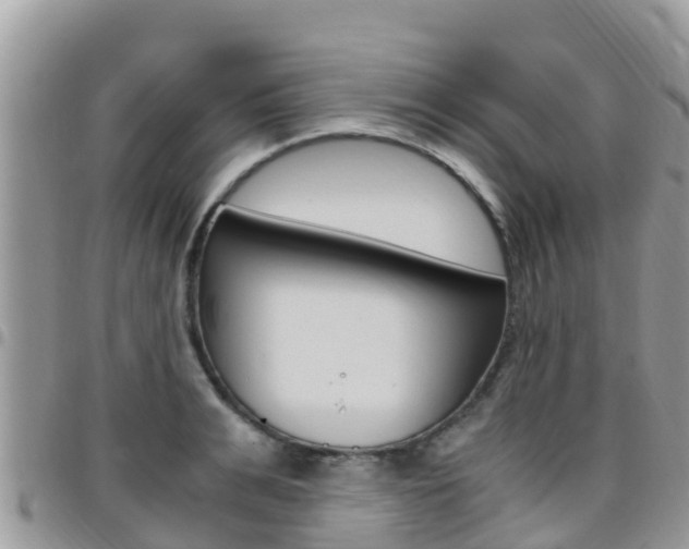 X0000096160991200801180847