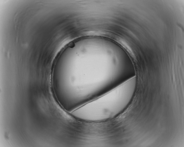 X0000096160992200801180847