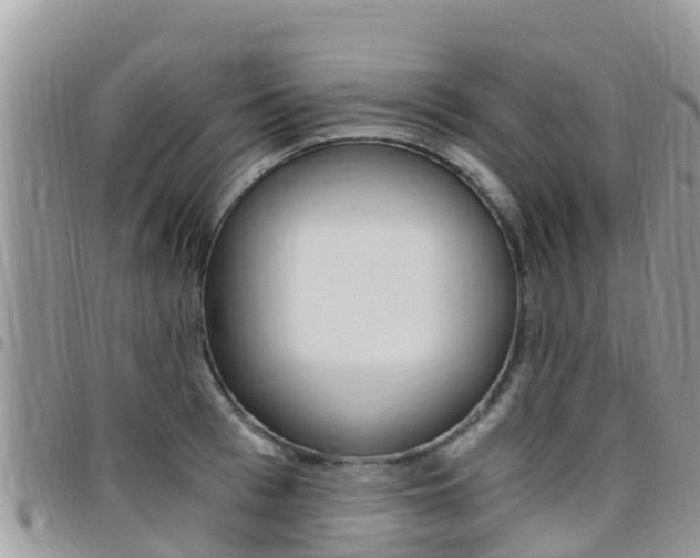 X0000096160993200801180847