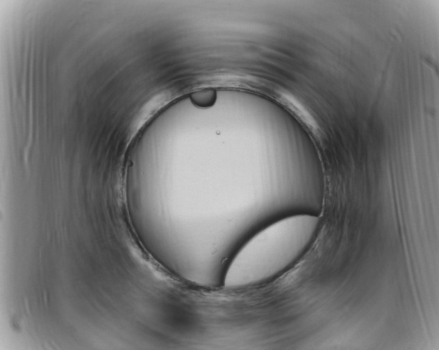 X0000096160994200801180847
