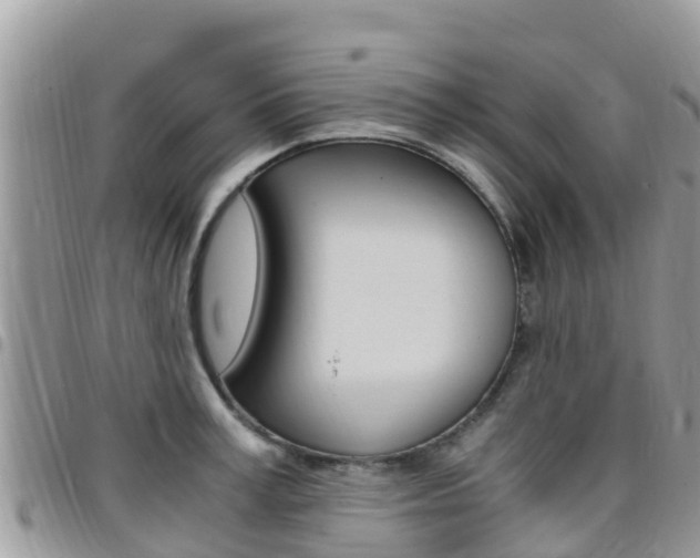 X0000096160995200801180847