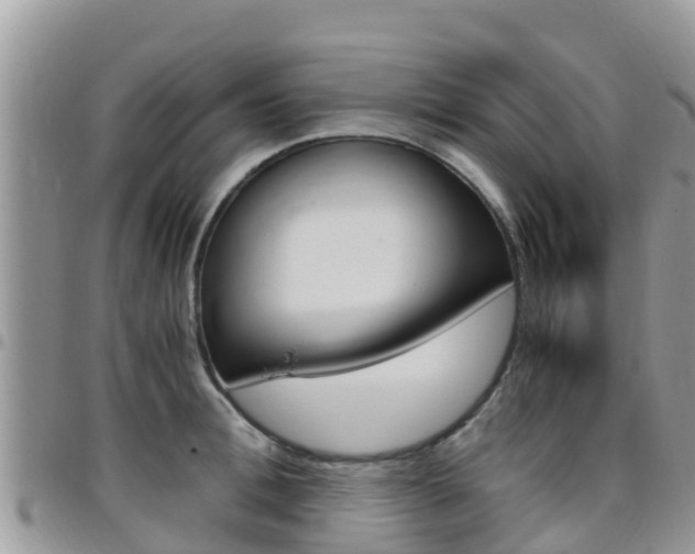 X0000096160996200801180847