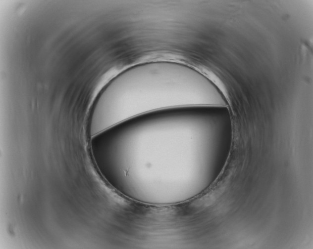 X0000096160997200801180847