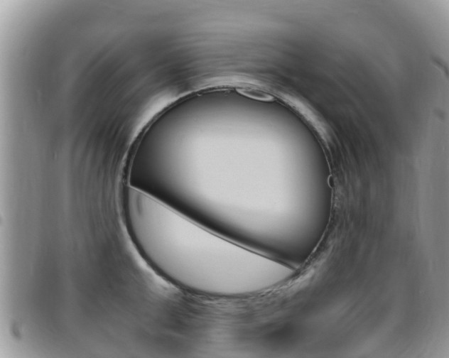 X0000096160999200801180847