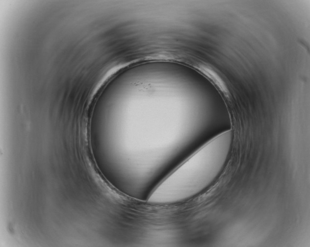 X0000096161000200801180847