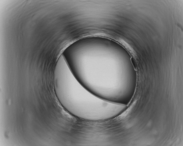 X0000096161001200801180847