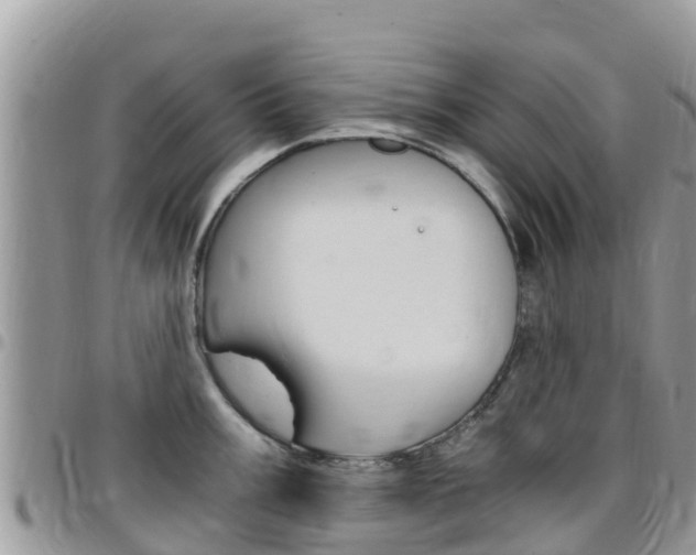 X0000096161003200801180847