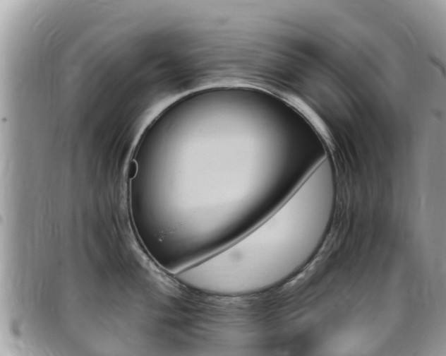 X0000096161004200801180847