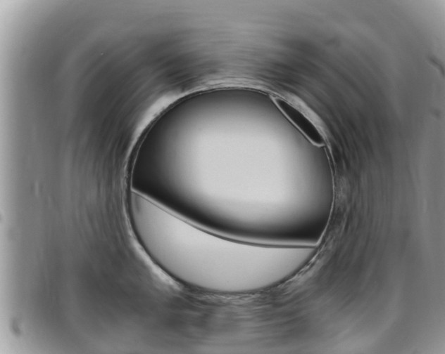 X0000096161005200801180847