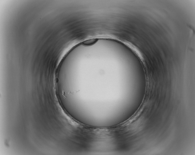 X0000096161006200801180847