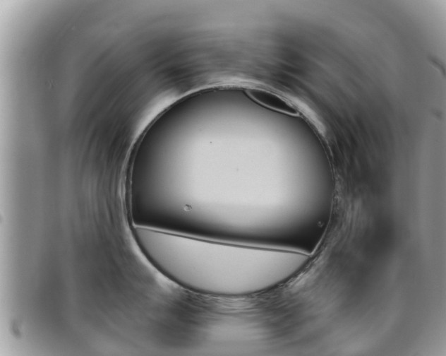 X0000096161007200801180847