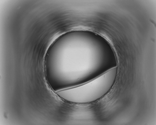 X0000096161008200801180847