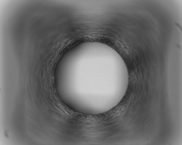 X0000096161009200801180846