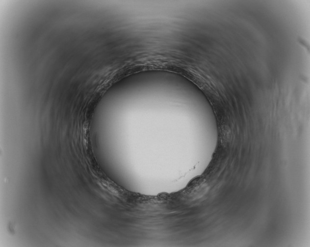 X0000096161010200801180847
