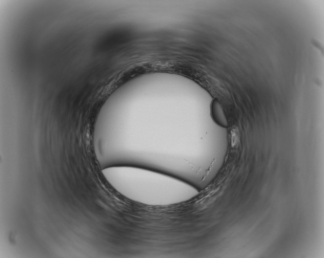 X0000096161011200801180847