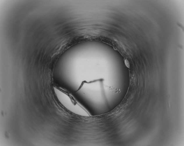 X0000096161012200801180847