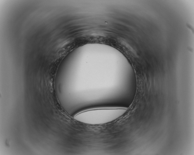 X0000096161013200801180847