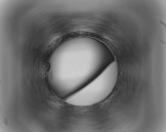 X0000096161014200801180847