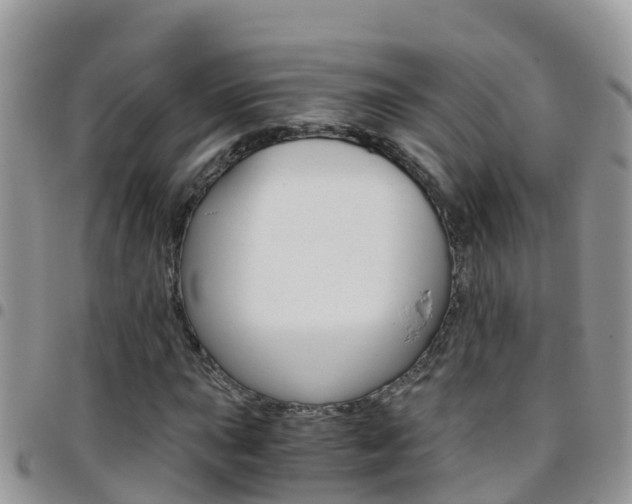 X0000096161015200801180847