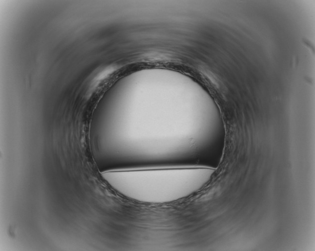 X0000096161016200801180847