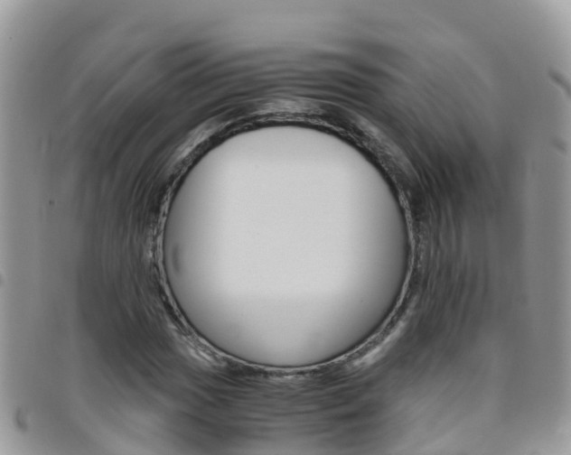 X0000096161017200801180847