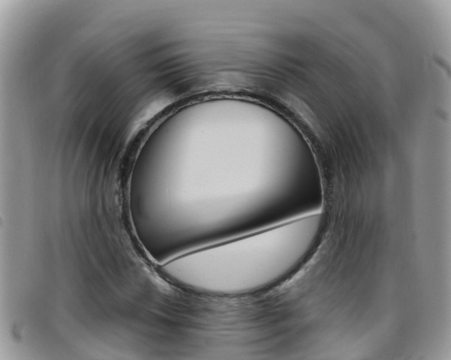 X0000096161018200801180847