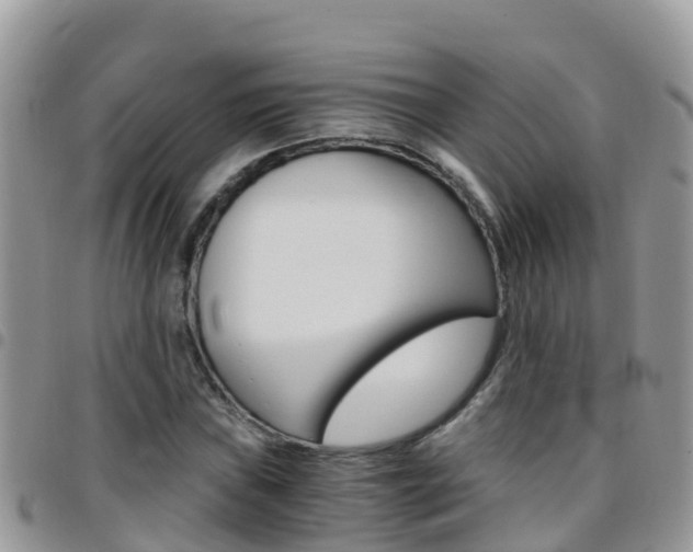 X0000096161019200801180847