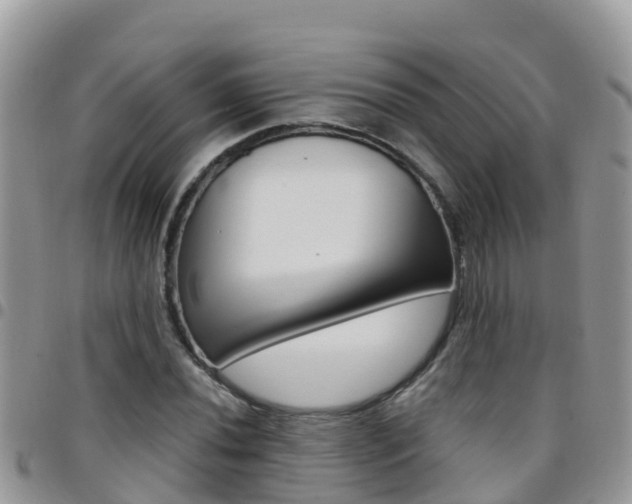 X0000096161020200801180847