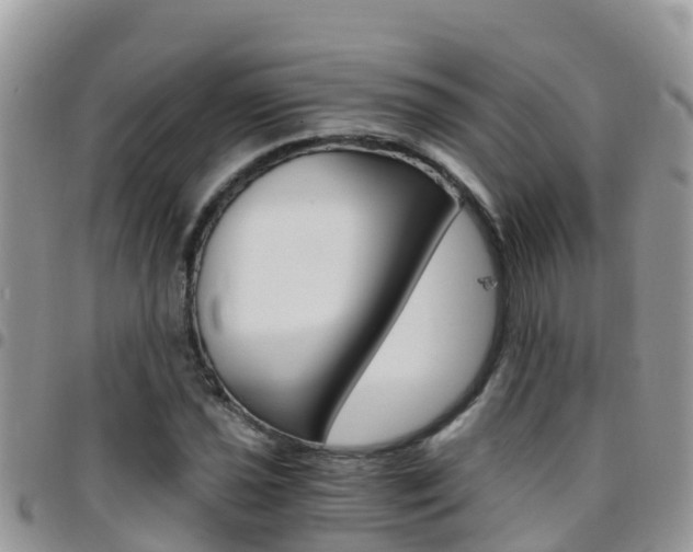 X0000096161021200801180847
