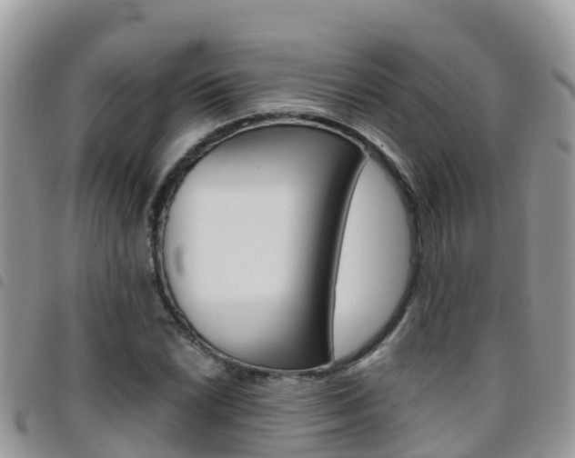 X0000096161022200801180847