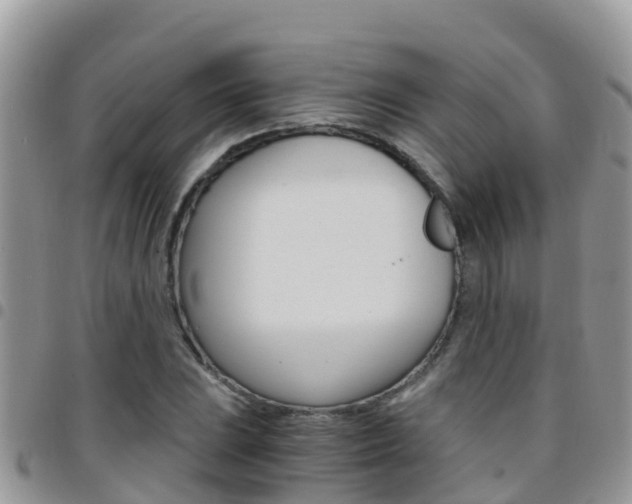 X0000096161023200801180847