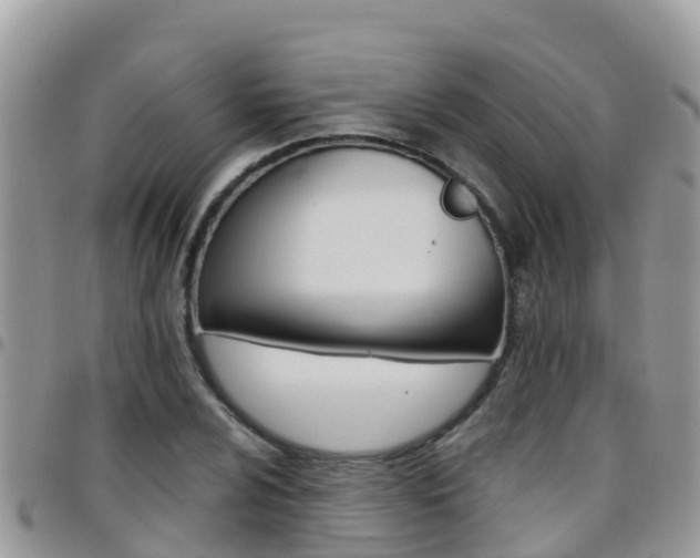 X0000096161024200801180847