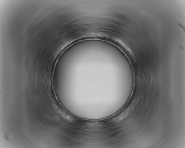 X0000096161025200801180847