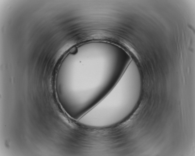 X0000096161026200801180847