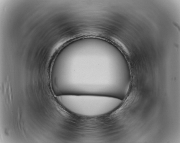 X0000096161027200801180847