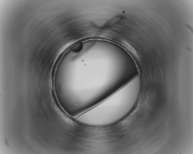 X0000096161028200801180847