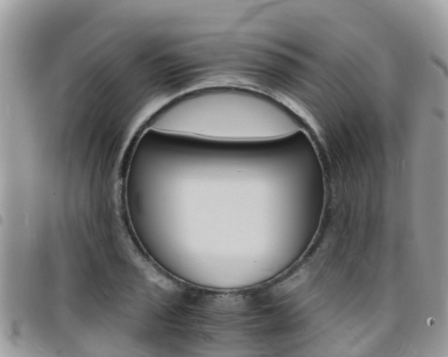 X0000096161029200801180847