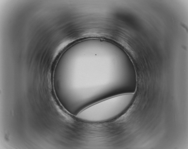 X0000096161030200801180847