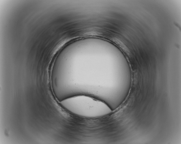 X0000096161031200801180847