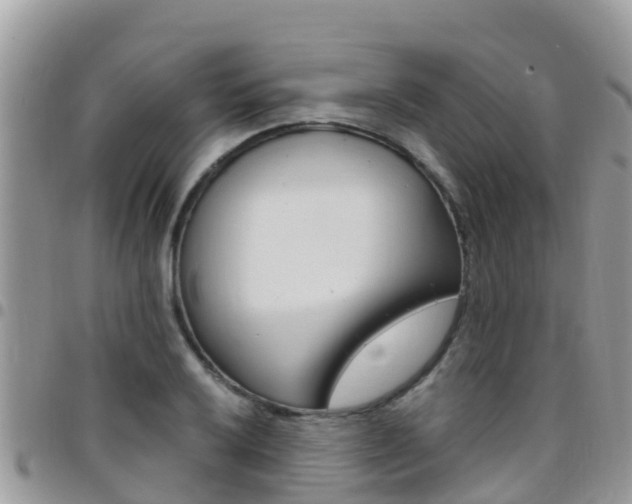 X0000096161032200801180847