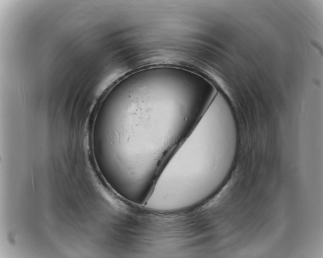 X0000096161034200801180847