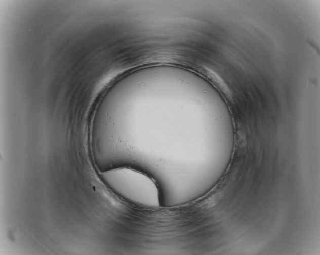 X0000096161035200801180847